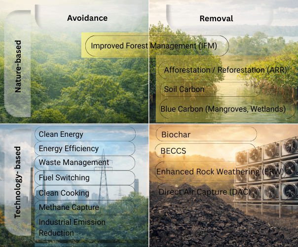 cover img of the blog