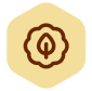 icon of score